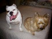 photo of Madeline B.