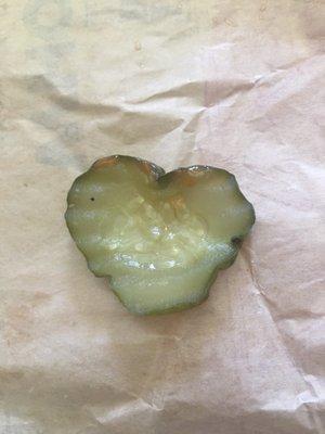 photo of Stefanie Y.