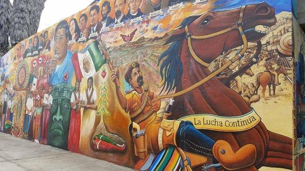 photo of Patricia R.