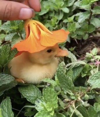 photo of Lesliejane P.