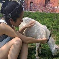 photo of Stephanie H.