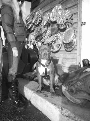 Photo of Meliquoi M.