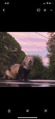 photo of Alexandra V.