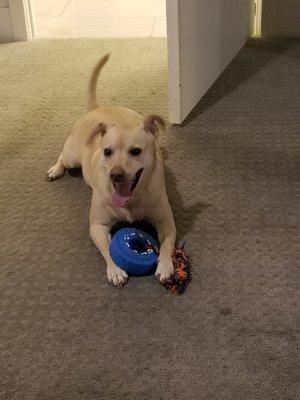 Photo of Anonymous R.