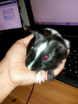 Photo of Hugo P.