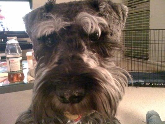 photo of Katherine S.