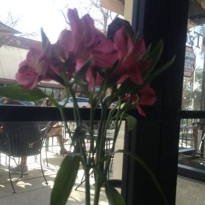 photo of Michelle K.