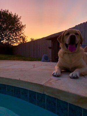 photo of Elizabeth O.