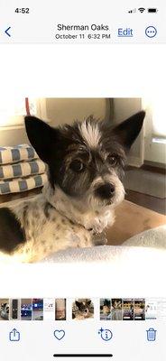 Photo of Abby L.