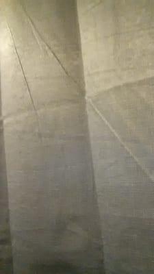 Photo of David O.