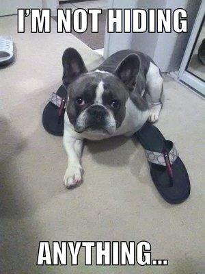 photo of Clifford B.