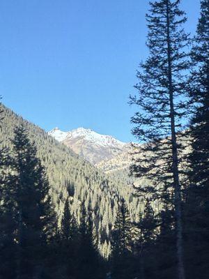 photo of Jennifer W.