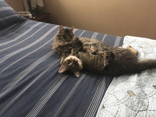 photo of Reginald D.