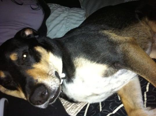 Photo of Chamo Q.