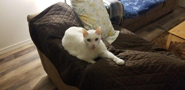 photo of Michelle L.