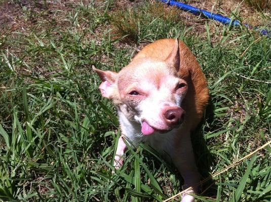 photo of Brittiany R.