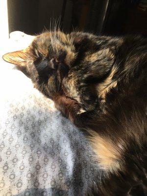 photo of Cornelius T.