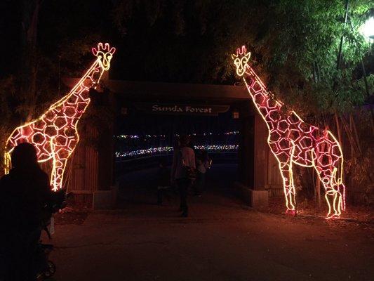 photo of Leopoldo E.