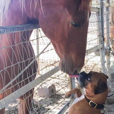 photo of Cassandra A.