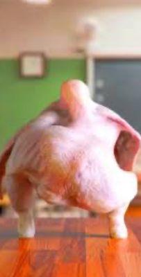 photo of Saltiest S.