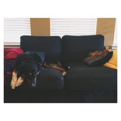 photo of Courtney R.