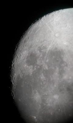 photo of Christina M.