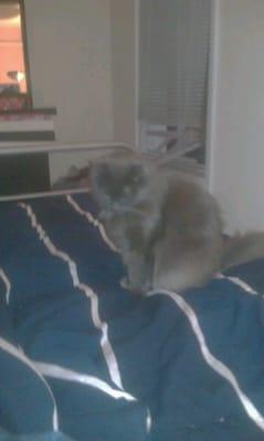 Photo of Kat F.