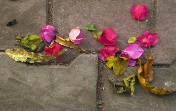 photo of Jennifer M.