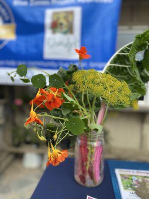 photo of Michelle M.