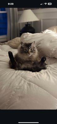 photo of Leighton B.