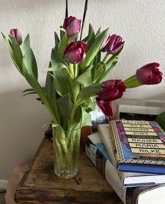 photo of Alexia Norton J.