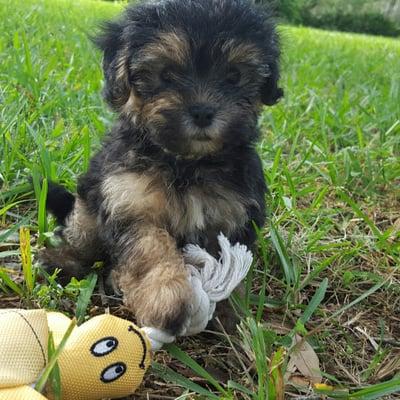 Photo of Miss Maddie F.