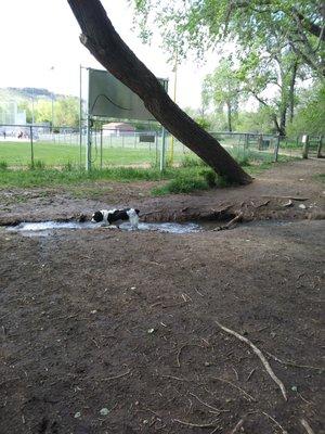 photo of Michelle n.