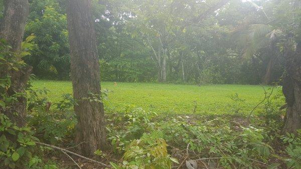 Photo of Christie L.