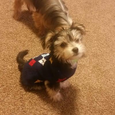 Photo of Michelle M.