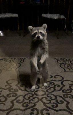 photo of Michelle B.