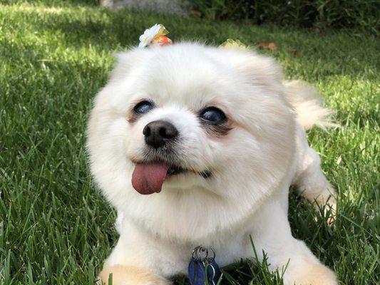 Photo of Fumy T.