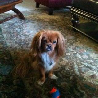 Photo of Omar O.