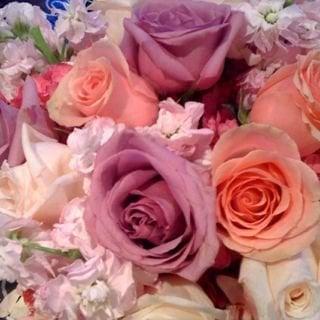 photo of Jennifer L.