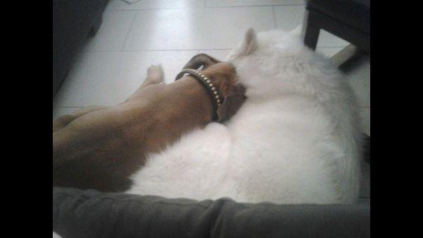 Photo of Cristine Y.