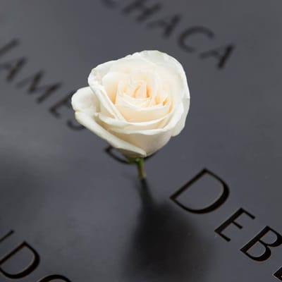 photo of Alexandra S.