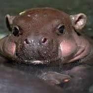 Photo of Kevin U.