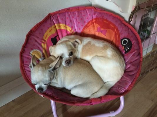 photo of Christine C.