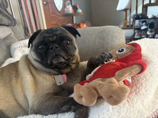 photo of jennifer v.