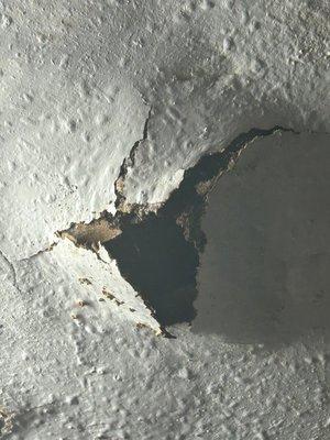 photo of Rodricka G.