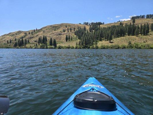 photo of Alexander J