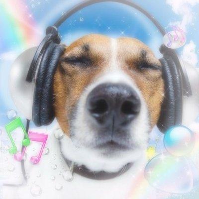 photo of Valentino O.