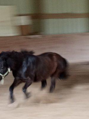 photo of Paulalyles L.