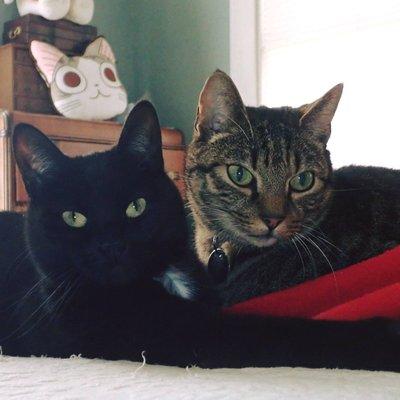 photo of Virginia K.