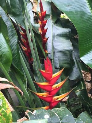 Photo of Nefertiti M.